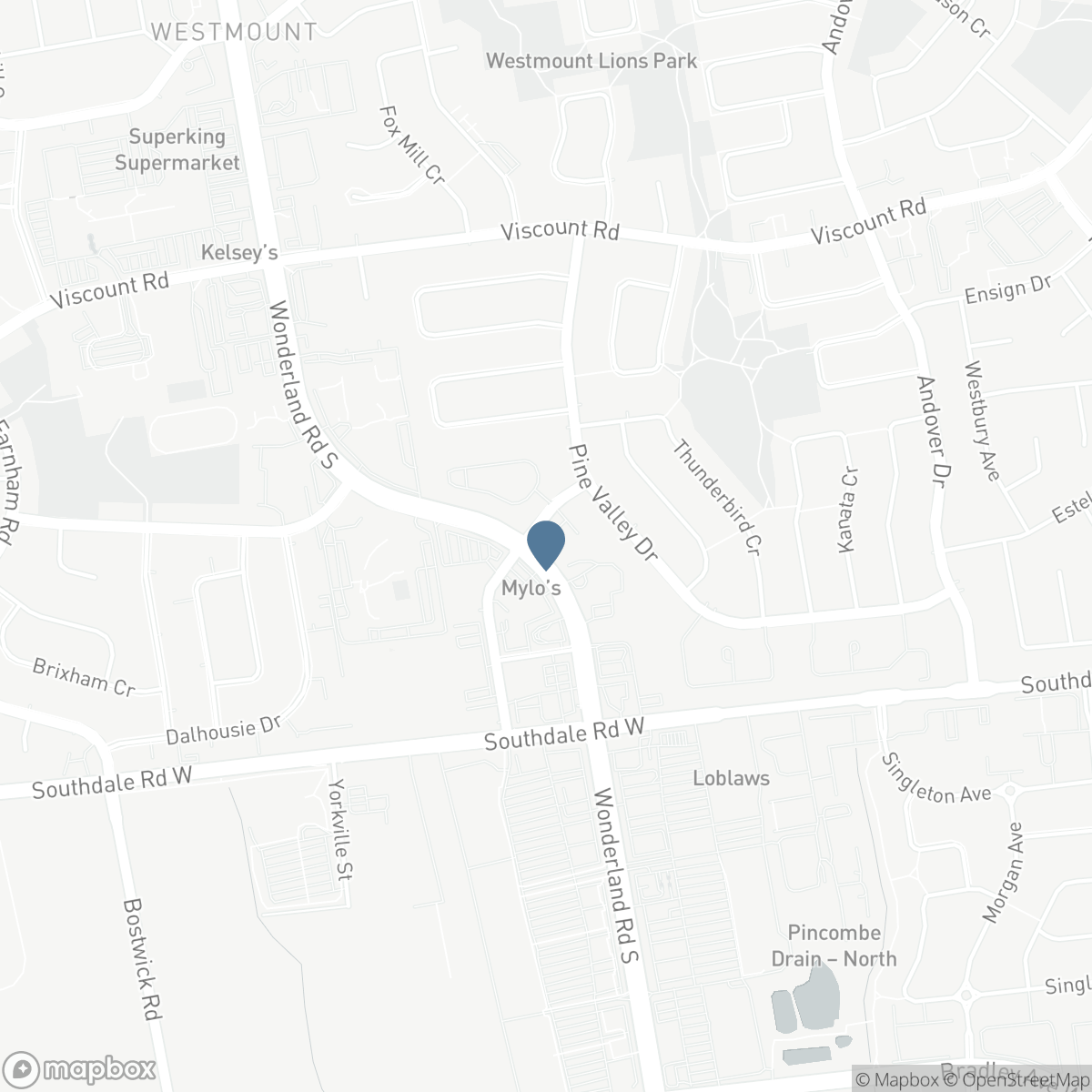 4 - 94 PINE VALLEY GATE, London, Ontario N6J 4P7